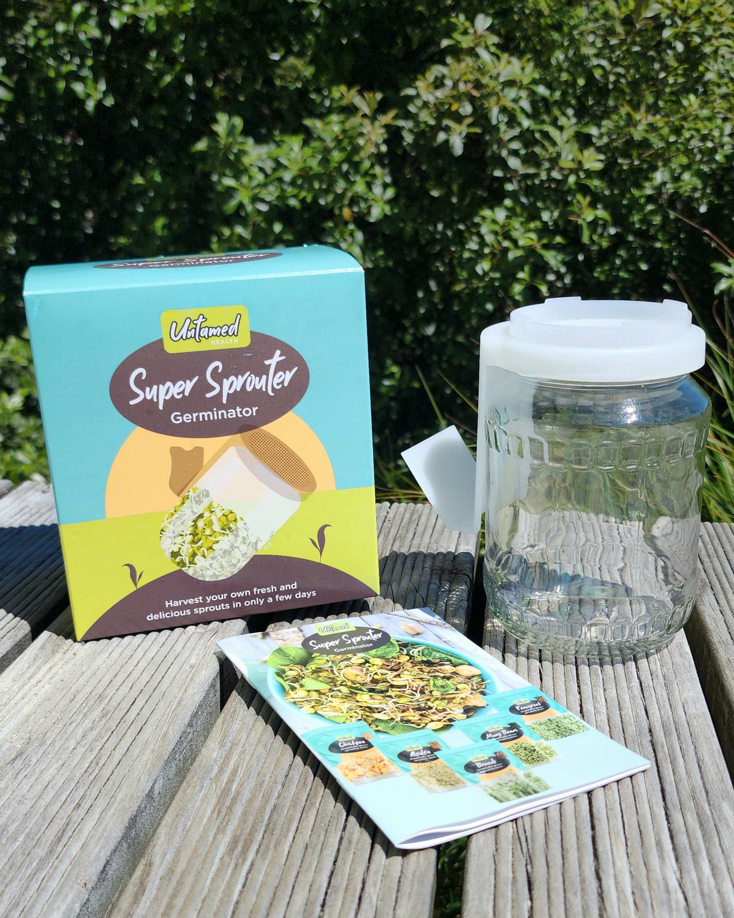 Biosnaky Glass Seed Sprouter