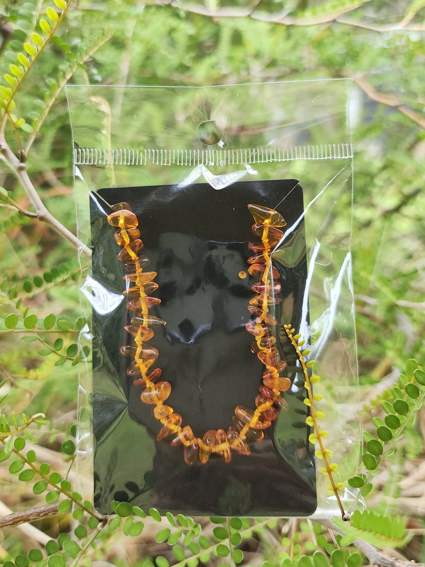 Baltic Amber Teething Necklace